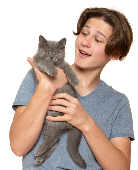 Pet Parent Of 3 Dogs